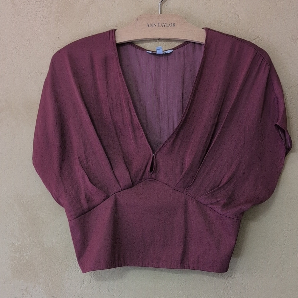 Naked Zebra Red Puff Sleeve Crop Blouse